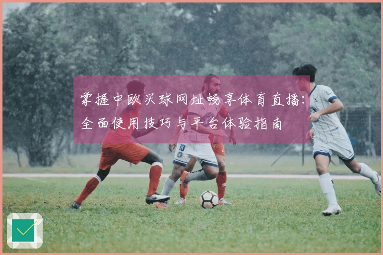 掌握中欧买球网址畅享体育直播：全面使用技巧与平台体验指南