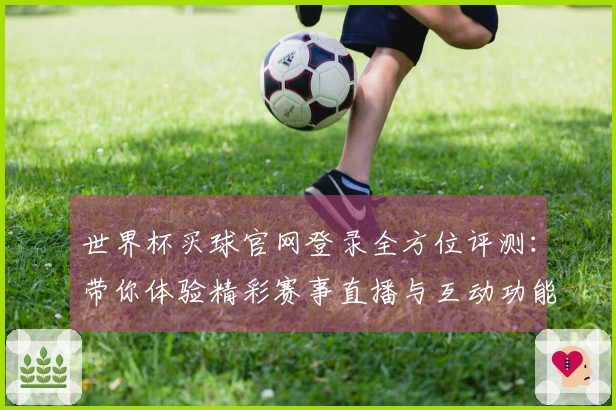 世界杯买球官网登录全方位评测：带你体验精彩赛事直播与互动功能