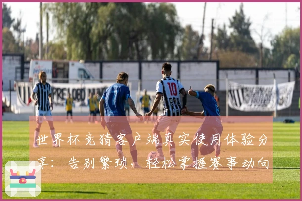 世界杯竞猜客户端真实使用体验分享：告别繁琐，轻松掌握赛事动向