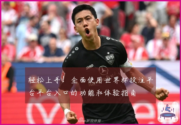轻松上手！全面使用世界杯投注平台平台入口的功能和体验指南