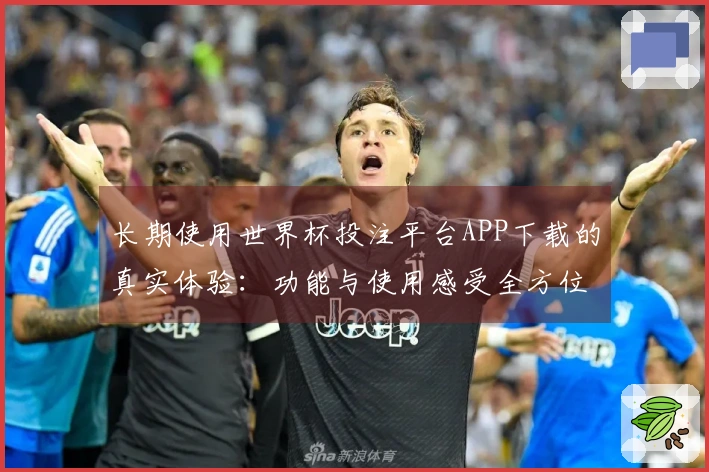 长期使用世界杯投注平台APP下载的真实体验:功能与使用感受全方位评测
