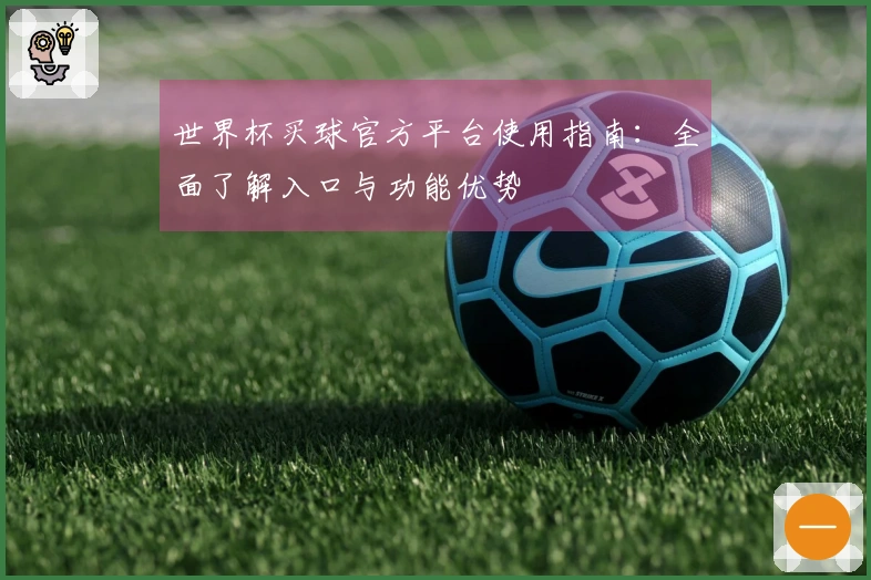 世界杯买球官方平台使用指南：全面了解入口与功能优势