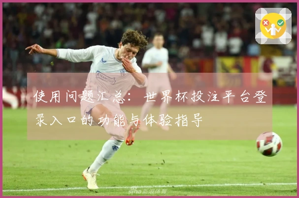 使用问题汇总：世界杯投注平台登录入口的功能与体验指导