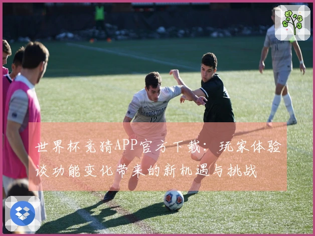 世界杯竞猜APP官方下载:玩家体验谈功能变化带来的新机遇与挑战