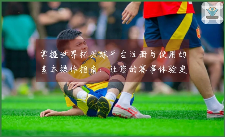 掌握世界杯买球平台注册与使用的基本操作指南，让您的赛事体验更顺畅