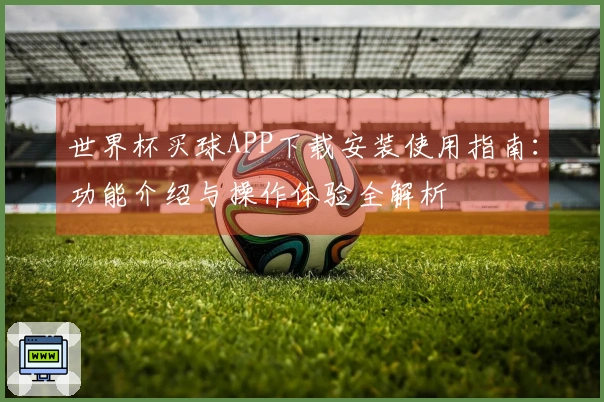 世界杯买球APP下载安装使用指南：功能介绍与操作体验全解析