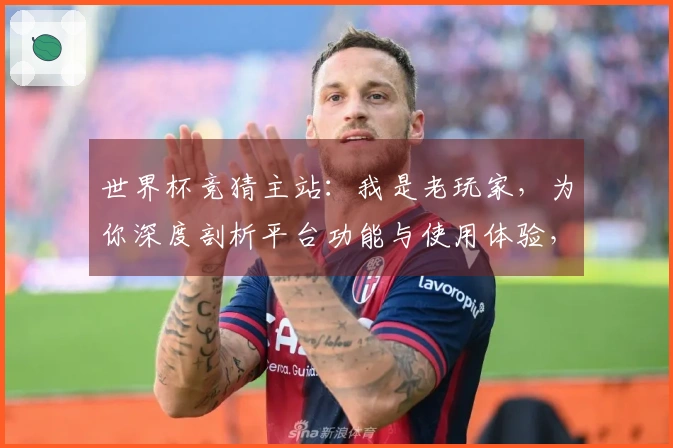 世界杯竞猜主站：我是老玩家，为你深度剖析平台功能与使用体验，指引高效投注。