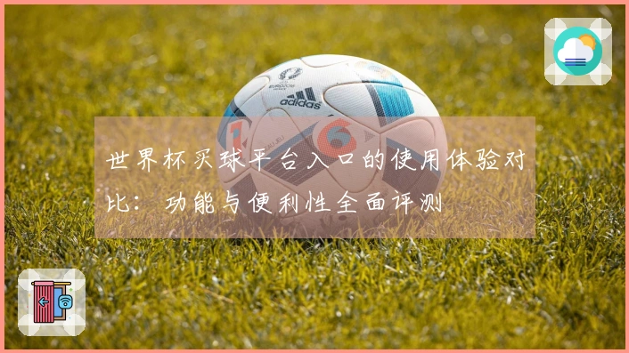 世界杯买球平台入口的使用体验对比：功能与便利性全面评测