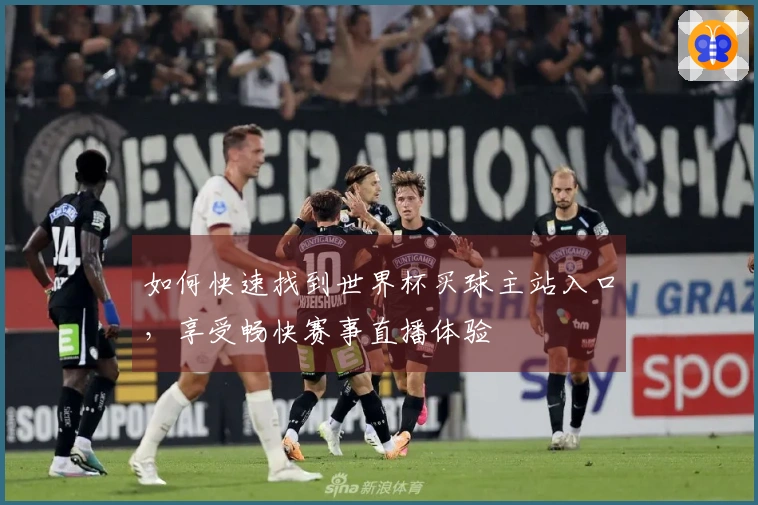 如何快速找到世界杯买球主站入口，享受畅快赛事直播体验