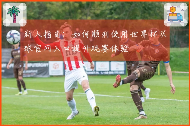 新人指南：如何顺利使用世界杯买球官网入口提升观赛体验