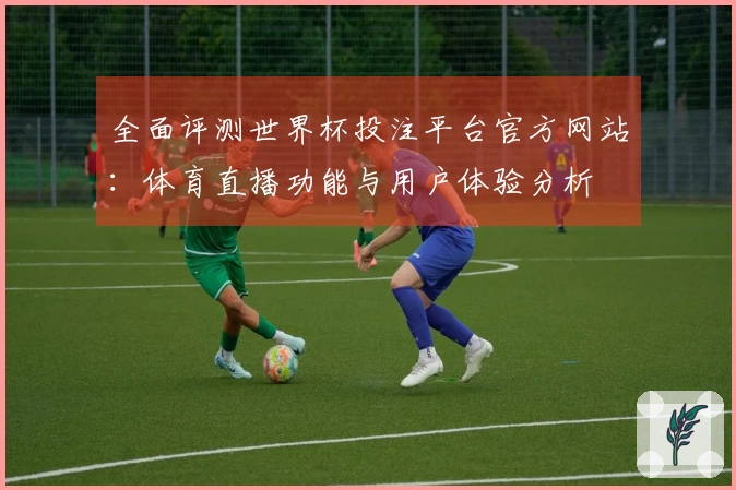 全面评测世界杯投注平台官方网站：体育直播功能与用户体验分析