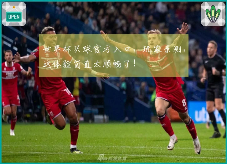 世界杯买球官方入口，玩家亲测，这体验简直太顺畅了！
