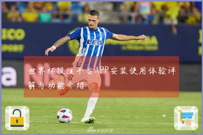 世界杯投注平台APP安装使用体验详解与功能介绍