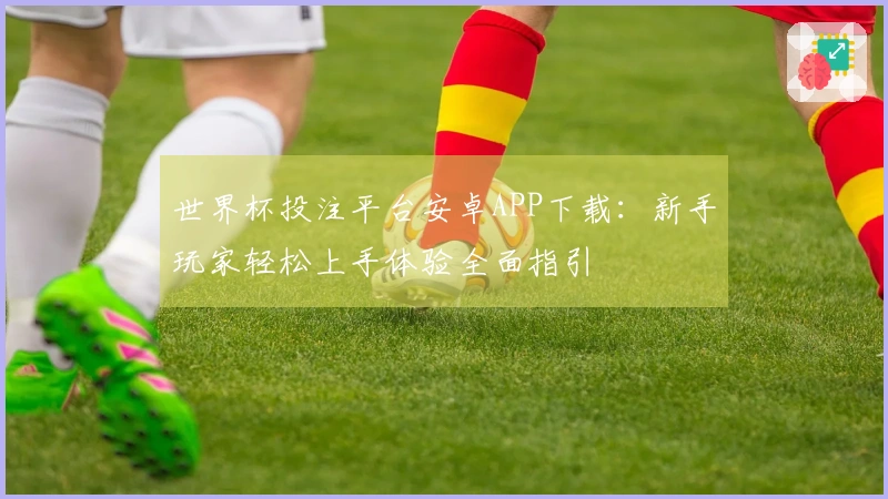 世界杯投注平台安卓APP下载：新手玩家轻松上手体验全面指引