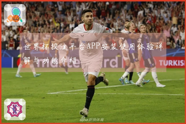 世界杯投注平台APP安装使用体验详解与功能介绍